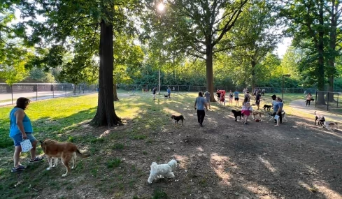 Dog Park at Lions Park photo 2
